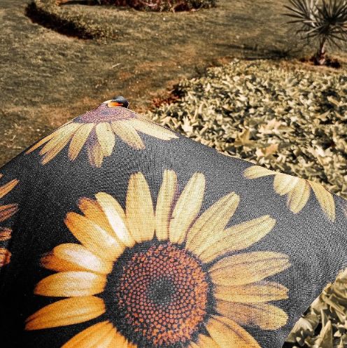 Sunflower Cushion Cover trendyhome-pk